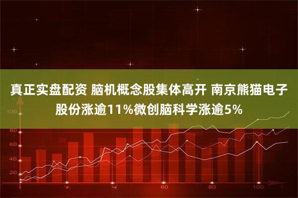 真正实盘配资 脑机概念股集体高开 南京熊猫电子股份涨逾11%微创脑科学涨逾5%